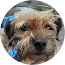 Frank Goossens profielfoto